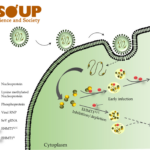 Scientists Discover a New Host Protein That Could Halt Viral Replication