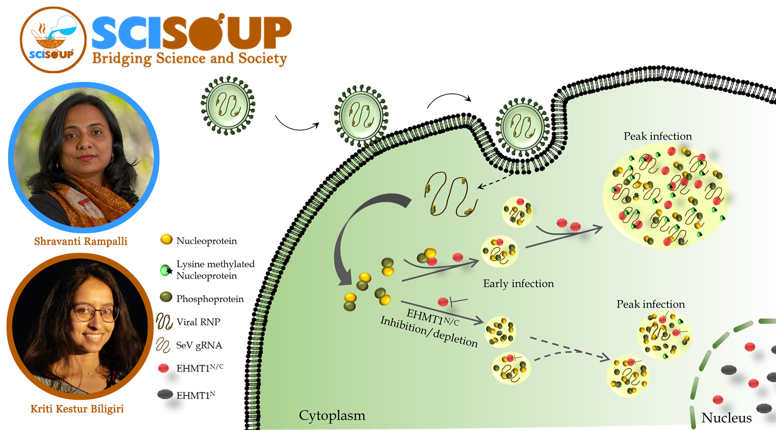 Scientists Discover a New Host Protein That Could Halt Viral Replication