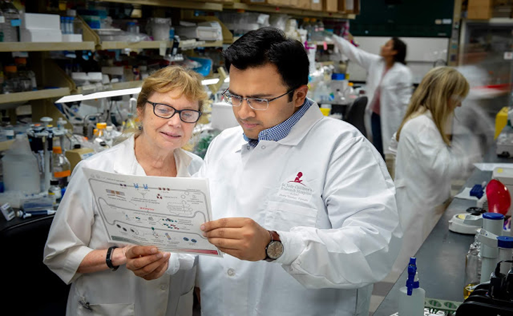 Scientists Find Protein Role In Muscle Disease
