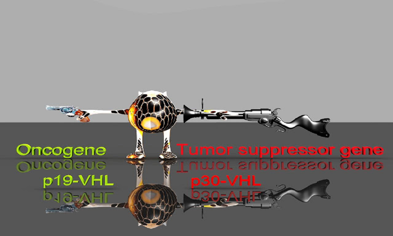 Scientists Shed Light On How Cancer Stem Cells Override Apoptotic Cell Death