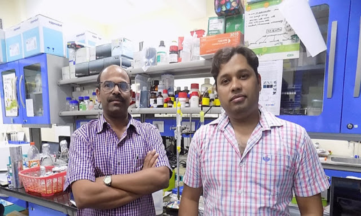 Laterosporulin10: A New Potential Anticancer Agent
