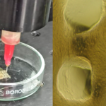 3D-Printed Silk Implant Regenerates Cartilage In Osteoarthritic Rat Knees