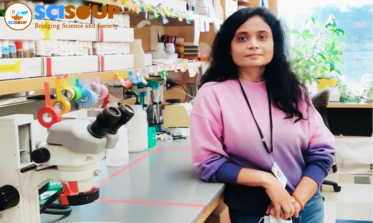 Finding A Good Postdoctoral Position: Career Advice